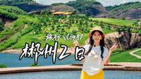旅行vlog87|深圳出发！周末郴州2日游体验太绝了！高椅岭&小东江