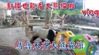 新疆也能看熊猫啦，打卡乌鲁木齐市大熊猫馆