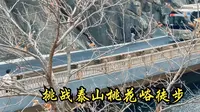 2023-03-17 泰山景区桃花峪徒步往返15公里