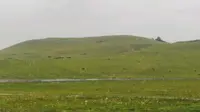雨中的乌兰布统草原