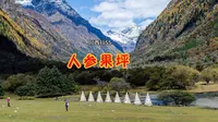 川西行55   四姑娘山景区双桥沟人参果坪