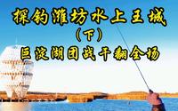 潍坊寿光巨淀湖鱼获，120元鱼票，怎么钓才能“上岸”？