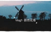 【Vlog】去蔚然花海看灯光秀的一天