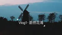 【Vlog】去蔚然花海看灯光秀的一天