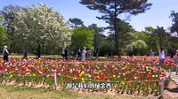 花朝见喜·万象同春！“五·一”游玩好去处：沈阳植物园！花朝节叠加郁金香花展，深度体验，大饱眼福！