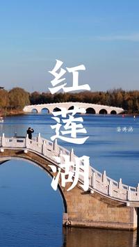 淄博桓台红莲湖，初冬静谧浪漫，随手一拍都是美景，打卡好去处