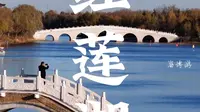 淄博桓台红莲湖，初冬静谧浪漫，随手一拍都是美景，打卡好去处