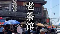 在临涣镇的老茶馆喝茶，被一只鸟骂了