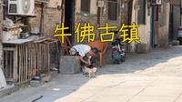 平凡的古镇，平凡的一天，四川牛佛古镇