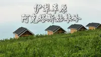 乌孙山上姑娘岭——新疆阿克塔斯草原