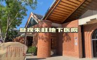 参观莱州朱旺红砖艺术馆