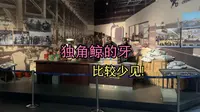 中国海关博物馆超详细攻略 搭配周边哪些博物馆一起参观？