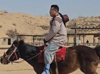 宁夏黄沙古渡一日游！快乐充电！