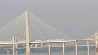 赣州龟角尾公园拍昌赣高铁赣州特大桥繁忙运行的高铁身影