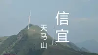 摩旅环华，到达信宜天马山，在广东与广西的交界处，竟然也有高山草甸。