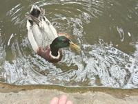 漫步郑州植物园