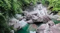 宜昌五峰后河保护区