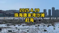 【赶海】2025.6.29，唐家湾沙滩赶海，停车鸡山村