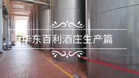 【探秘】参观青岛华东葡萄酒生产 干净卫生无人小便
