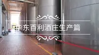 【探秘】参观青岛华东葡萄酒生产 干净卫生无人小便