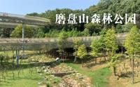 南昌磨盘山森林公园