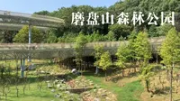南昌磨盘山森林公园