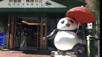 成都的熊猫书店乖惨了！