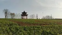 下午去了昌乐县西湖公园，有谈情说爱的，有唱歌的，也有钓鱼的！