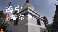 [杜比世界] “青海” | 西宁塔尔寺丨云旅游 现场音 POV|