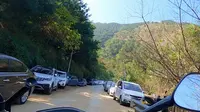 周末来广西宾阳陈平名山登山的游络绎不绝，路边停满了车辆