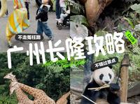 昨天刚从广州长隆回来！带娃旅游攻略0踩坑