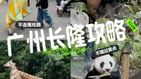 昨天刚从广州长隆回来！带娃旅游攻略0踩坑