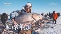 中央台城市宣传欣赏--松原查干湖