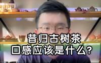 昔归古树茶，我说它的标准口感应该是“柔中带刚”，有人不认可，你怎么看？