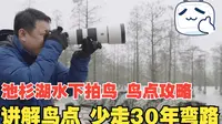 【拍鸟鸟点攻略 | 水鸟】《南京&滁州 | 池杉湖》推荐焦段：600+，给即将出发的鸟友们，提供微不足道的参考……