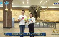 大连自然博物馆【云游直播回放】-溜达搬运