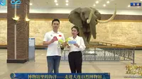大连自然博物馆【云游直播回放】-溜达搬运