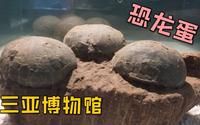 【三亚博物馆】中国最南端的自然博物馆，有恐龙蛋和恐龙化石