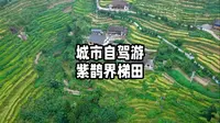 城市自驾游-紫鹊界梯田 没什么期待反而被这片梯田美到了