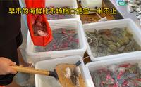 巽寮湾｜赶早市发现住海边天天吃海鲜不是梦