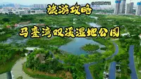 航拍厦门马銮湾双溪湿地公园，越来越漂亮了，期待公园赶紧开园