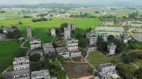 【4K】航拍开平碉楼