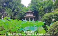 美音溧阳，凤凰公园，饱经沧桑，用两部手机记录小城大故事第三集