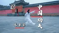 师父说这掌不能打在人身上！武当遇真宫实录：无量掌劲力控制终极教学演练