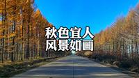 自驾黑龙江鹤岗绥滨县290农场沿途美景