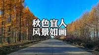 自驾黑龙江鹤岗绥滨县290农场沿途美景
