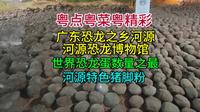 广东恐龙之乡河源，河源恐龙博物馆，世界恐龙蛋数量之最，河源特色猪脚粉