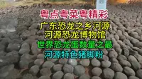 广东恐龙之乡河源，河源恐龙博物馆，世界恐龙蛋数量之最，河源特色猪脚粉
