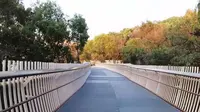 江西南昌磨盘山森林公园绿道骑行