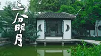 初夏，听一曲萧鸣，赏一池碧水 丨 扬州 二分明月楼丨 8K看世界 丨 佳能R5C 8K RAW 细腻画质